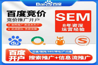 顶级SEM服务公司案例解析